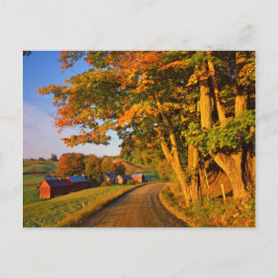 USA, Vermont, South Woodstock Postcard