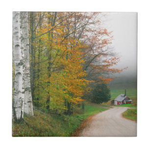USA, Vermont. Sugar House Near The Town Of South Ceramic Tile