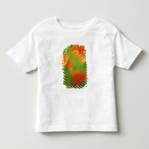 USA, Virginia, Arlington, closeup of orange Toddler T-Shirt