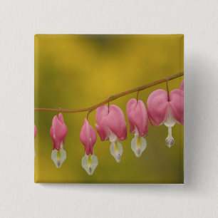 USA, Virginia, Arlington, closeup of pink 15 Cm Square Badge