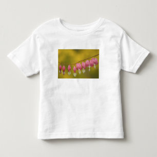 USA, Virginia, Arlington, closeup of pink Toddler T-Shirt