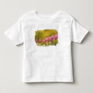 USA, Virginia, Arlington, closeup of pink Toddler T-Shirt