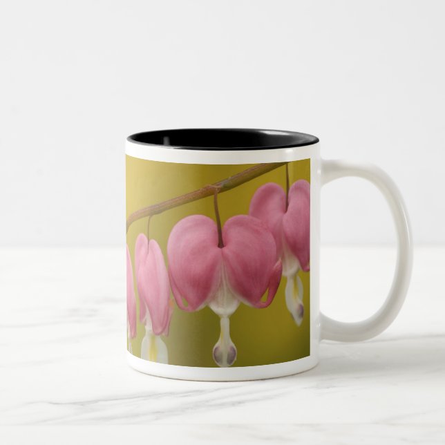 USA, Virginia, Arlington, closeup of pink Two-Tone Coffee Mug (Right)