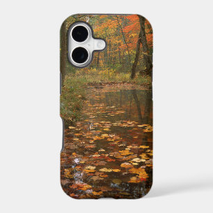 USA, Virginia, Autumn In Douthat State Park