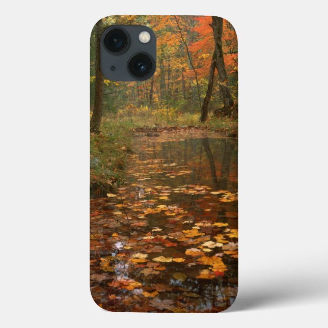 USA, Virginia, Autumn In Douthat State Park Case-Mate iPhone Case (Back)