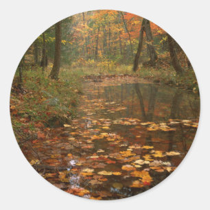 USA, Virginia, Autumn In Douthat State Park Classic Round Sticker