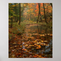USA, Virginia, Autumn In Douthat State Park