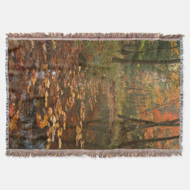 USA, Virginia, Autumn In Douthat State Park Throw Blanket (Front)