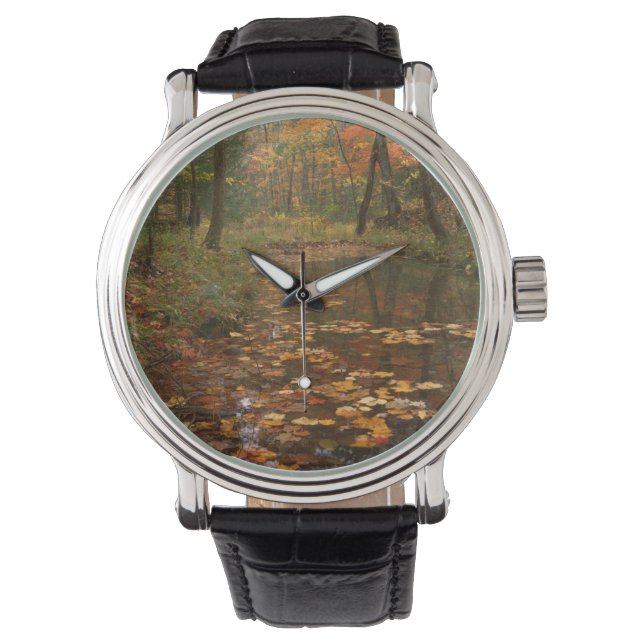 USA, Virginia, Autumn In Douthat State Park Watch (Front)
