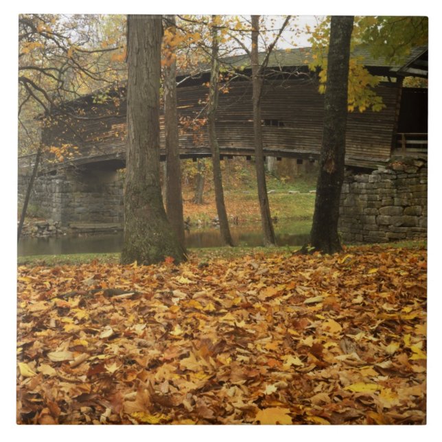 USA, Virginia, Covington, Humpback Covered Ceramic Tile (Front)