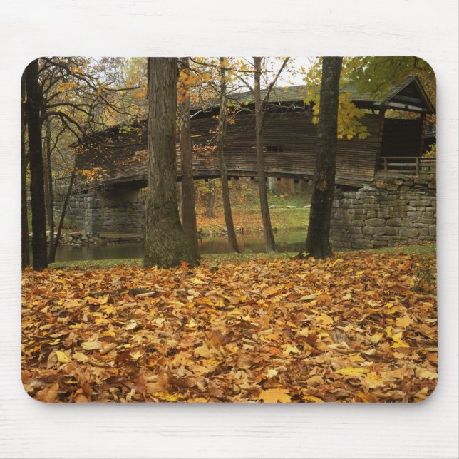 USA, Virginia, Covington, Humpback Covered Mouse Pad (Front)
