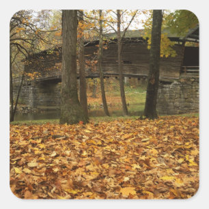 USA, Virginia, Covington, Humpback Covered Square Sticker