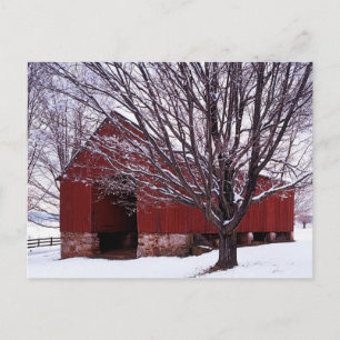 USA, Virginia, Fairfax County, Barn and Maple Postcard