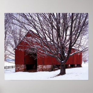 USA, Virginia, Fairfax County, Barn and Maple Poster