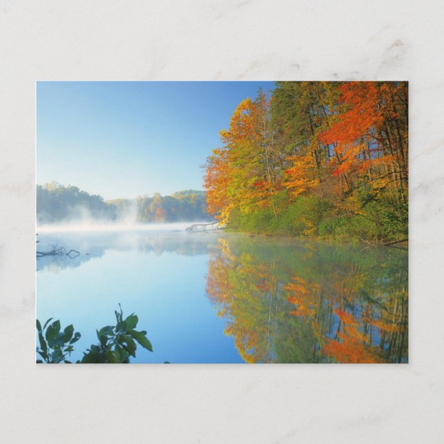 USA, Virginia, Fairy Stone State Park 2 Postcard (Front)