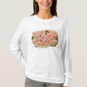 USA, Virginia, Manassas, Manassas National T-Shirt