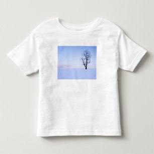 USA, Virginia, Page County, Black Locust Toddler T-Shirt