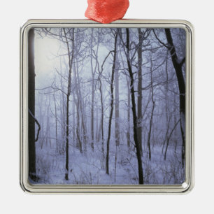 USA, Virginia, Richard Thompson Wildlife Area. Metal Tree Decoration