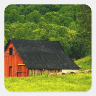 USA, Virginia, Shenandoah National Park, 2 Square Sticker