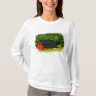 USA, Virginia, Shenandoah National Park, 2 T-Shirt