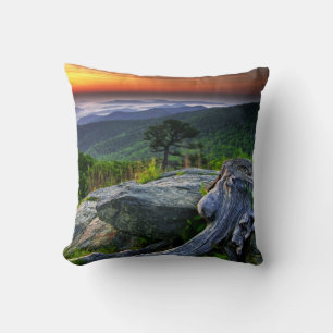 USA, Virginia, Shenandoah National Park. Cushion
