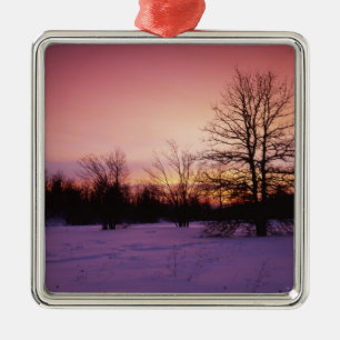 USA, Virginia, Shenandoah National Park, Metal Tree Decoration