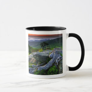 USA, Virginia, Shenandoah National Park. Mug