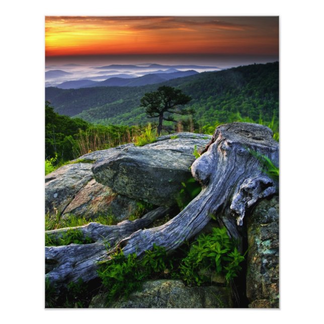 USA, Virginia, Shenandoah National Park. Photo Print (Front)
