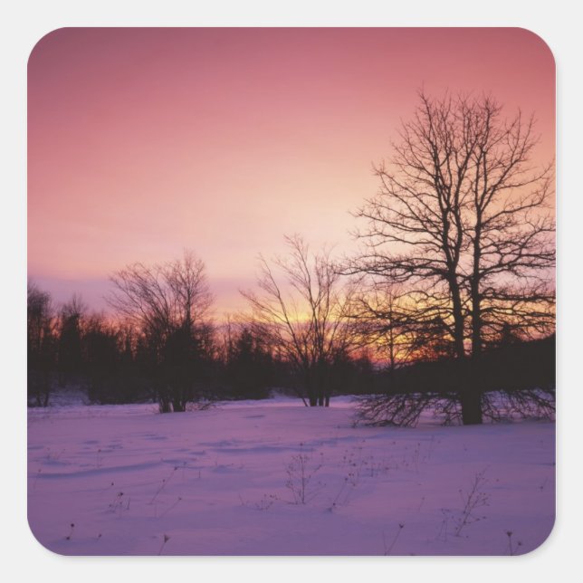 USA, Virginia, Shenandoah National Park, Square Sticker (Front)