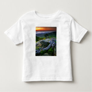 USA, Virginia, Shenandoah National Park. Toddler T-Shirt