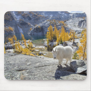 USA, WA, Alpine Lakes WIlderness Enchantments. Mouse Pad
