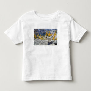 USA, WA, Alpine Lakes WIlderness Enchantments. Toddler T-Shirt