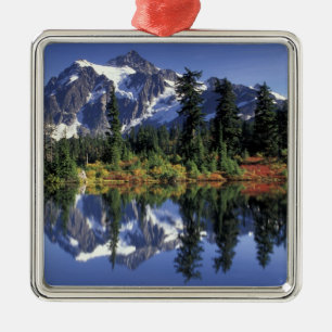 USA, WA, Heather Meadows RA. Mount Shuksan at Metal Tree Decoration