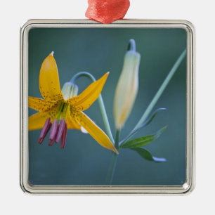 USA, WA, Mt. Rainier National Park. Columbia Metal Ornament