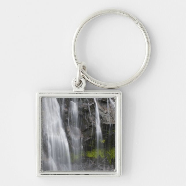 USA, WA, Mt. Rainier NP, Narada Falls Key Ring (Front)