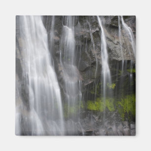 USA, WA, Mt. Rainier NP, Narada Falls Magnet