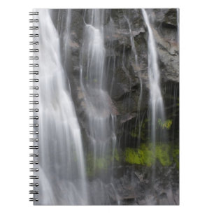 USA, WA, Mt. Rainier NP, Narada Falls Notebook