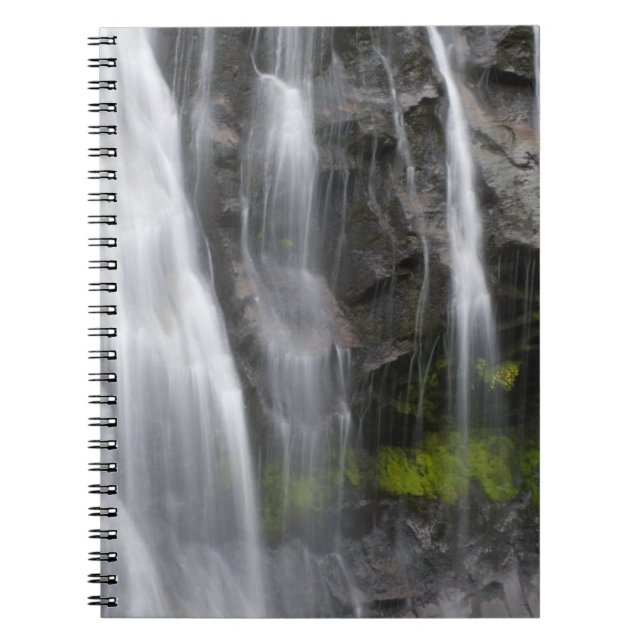 USA, WA, Mt. Rainier NP, Narada Falls Notebook (Front)