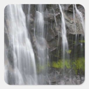 USA, WA, Mt. Rainier NP, Narada Falls Square Sticker