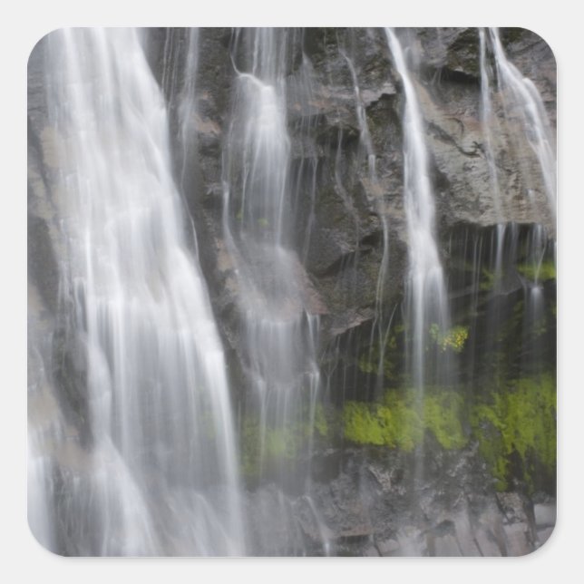 USA, WA, Mt. Rainier NP, Narada Falls Square Sticker (Front)