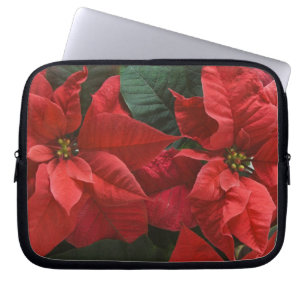 USA, WA, Red Poinsettia Detail (Euphorbia Laptop Sleeve