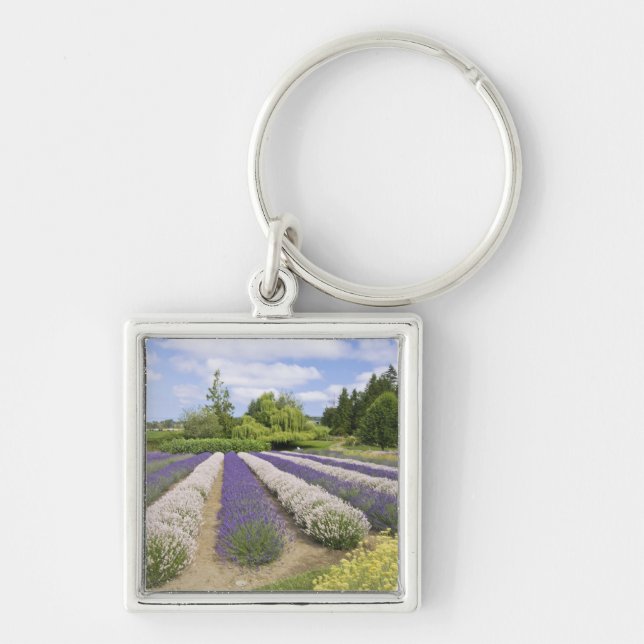 USA, WA, Sequim, Purple Haze Lavender Farm Key Ring (Front)