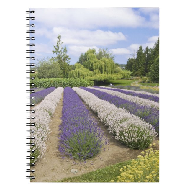 USA, WA, Sequim, Purple Haze Lavender Farm Notebook (Front)