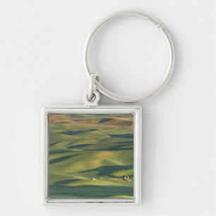 USA, WA, Whitman Co., Palouse Farm Fields From Key Ring