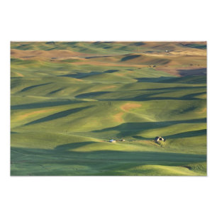 USA, WA, Whitman Co., Palouse Farm Fields From Photo Print