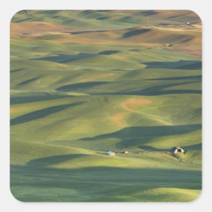 USA, WA, Whitman Co., Palouse Farm Fields From Square Sticker