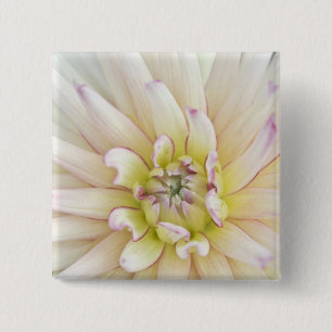 USA, Washington, Bellevue, Bellevue Botanical 2 15 Cm Square Badge