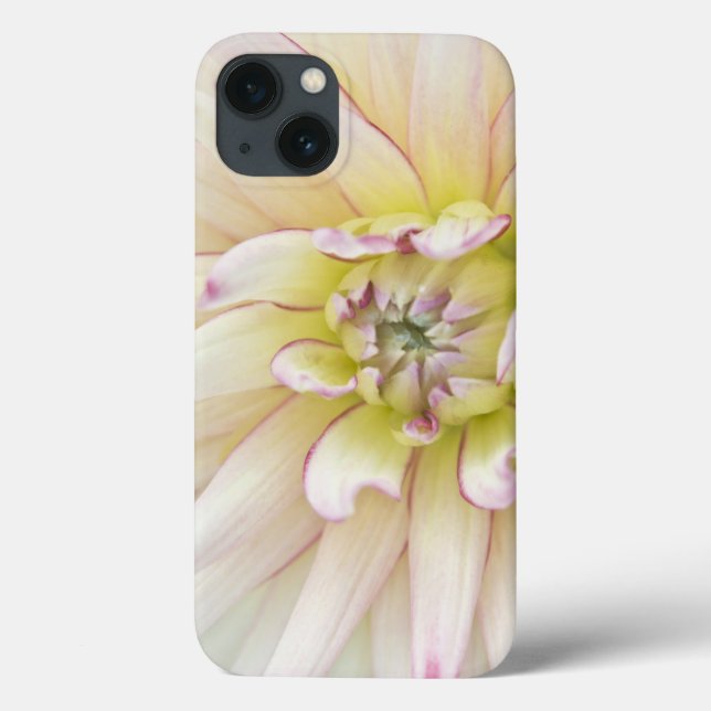 USA, Washington, Bellevue, Bellevue Botanical 2 Case-Mate iPhone Case (Back)