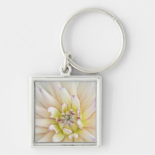 USA, Washington, Bellevue, Bellevue Botanical 2 Key Ring
