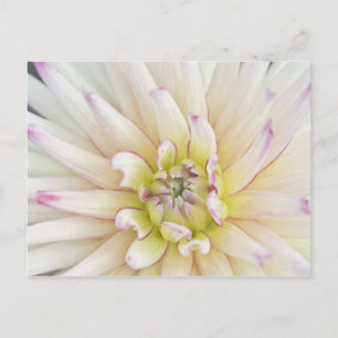 USA, Washington, Bellevue, Bellevue Botanical 2 Postcard